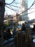 DSCN0974