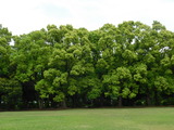 DSCN0226