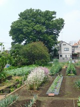 DSCN0063