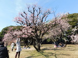 DSCN0421
