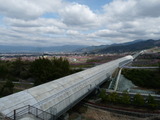 P1050233