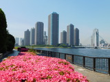 DSCN0261