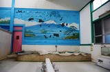 代沢湯女湯