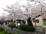 DSCN0263