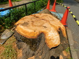 DSCN0028