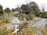 DSCN1033