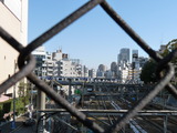 P1030503
