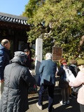 DSCN0964