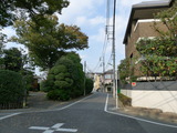 P1010649