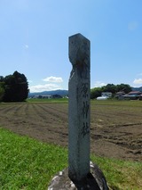 DSCN0079