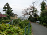 P1010663