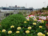DSCN0125