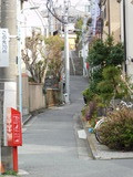 DSCN1023