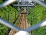DSCN0309