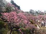 DSCN0001