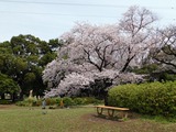 DSCN0264