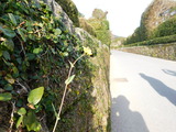 DSCN0211