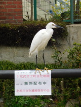 DSCN0260