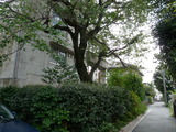P1010610