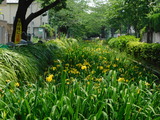 DSCN0064