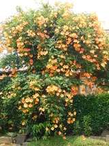 DSCN0182