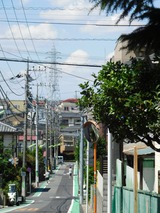 DSCN0295
