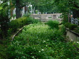 DSCN0178