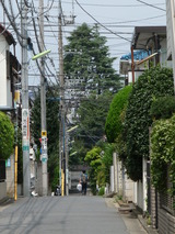 P1000811