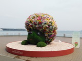 DSCN0126