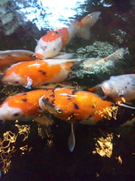 �ۥƥ�θ�