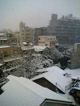 09d30f3a.jpg