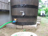 CIMG0102