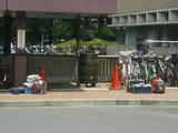 IMGP1174_1