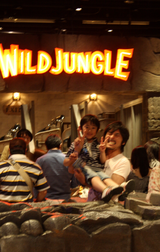 5��磻��ɥ���󥰥�