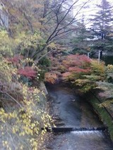 画像-0306