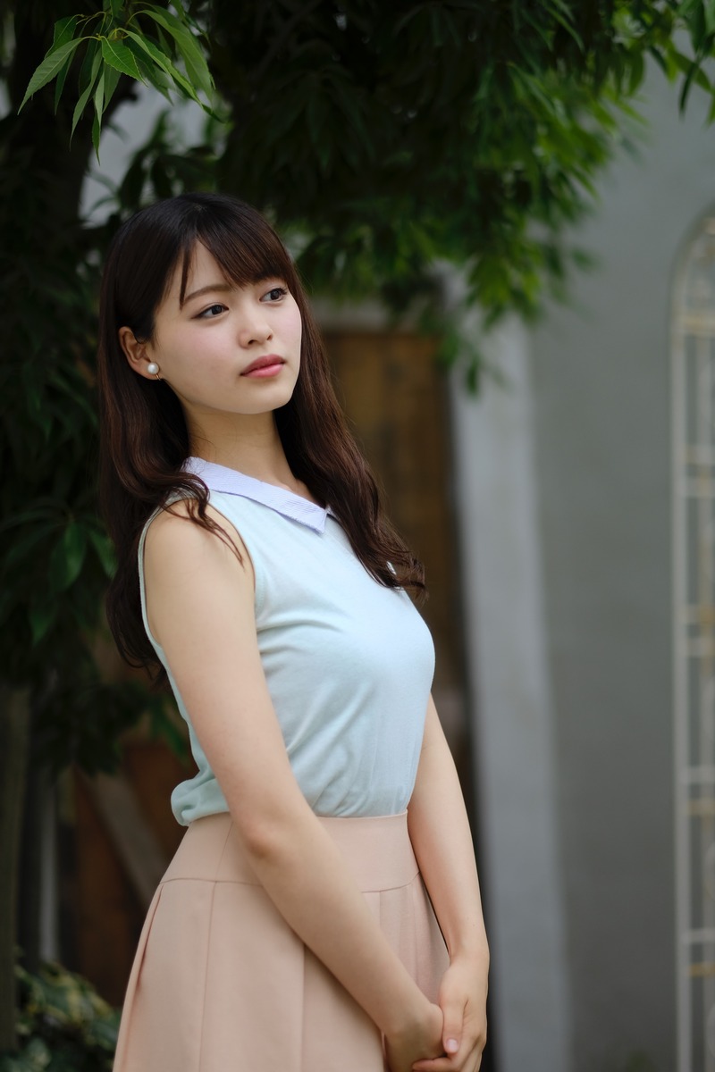 _DSF8012(5)