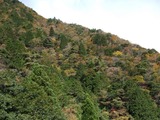 DSCF2878