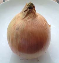 ���ڲ�