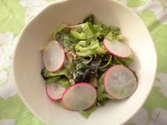 青梗菜・わかめ・ラディッシュの梅ごまあえ