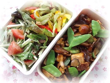 厚揚げ甘味噌きのこあん弁当