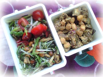 ごぼうと豆のごま味噌がらめ弁当
