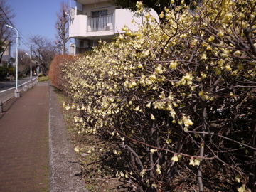 P1010060