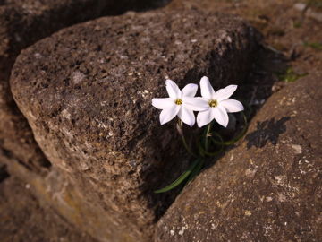 P1010105