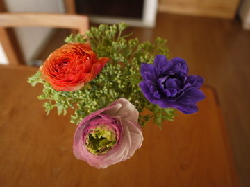 P1000921