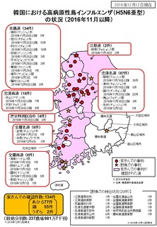 korea_hpai