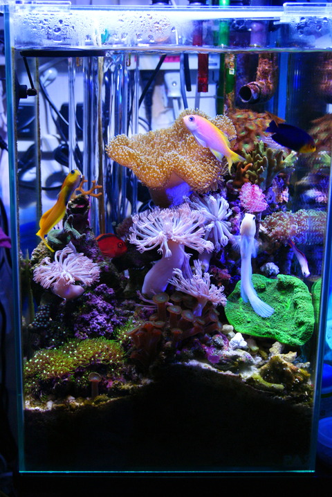 DSC02086