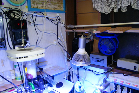 DSC02101