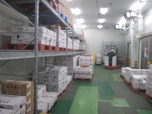 CIMG1151