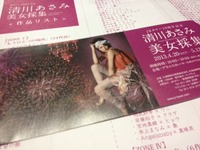 清川あさみ美女採集