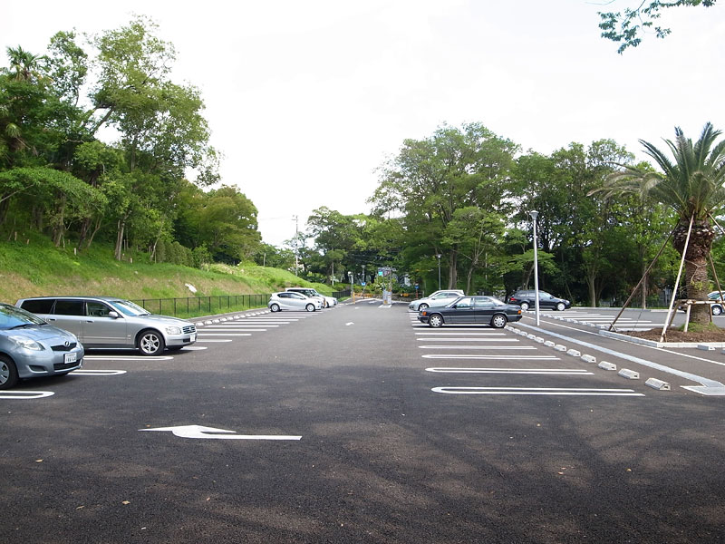 池田市五月山公園犬散歩